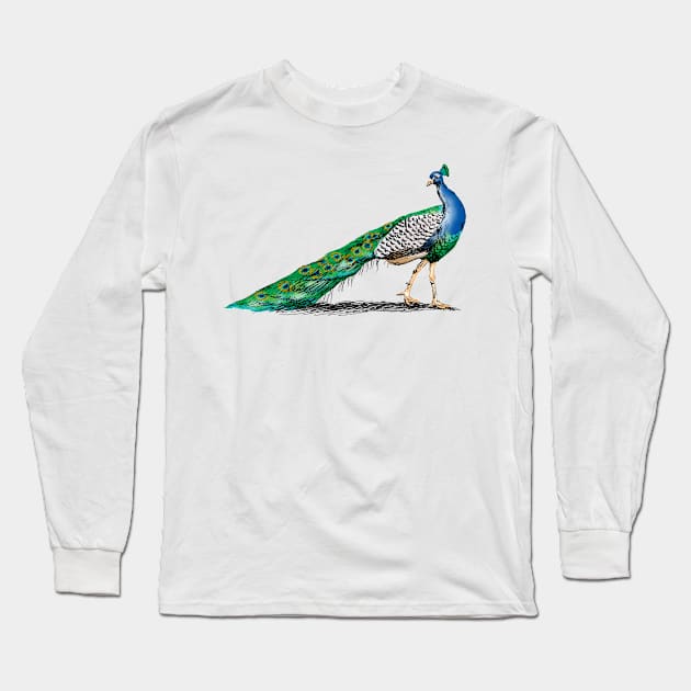 Peacock Sketch Long Sleeve T-Shirt by rachelsfinelines